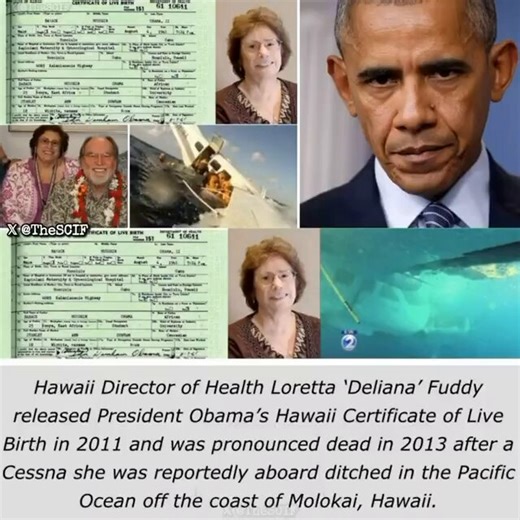 💊Hawaii Director of Health Loretta 'Deliana' Fuddy released Obama's Hawaii Certificate of Live Birth in 2011 and then shortly after in 2013 she was pronounced dead after a plane she was on crashed. But not like you think it did.🧐the entire plan crash was caught on cameraSCIF