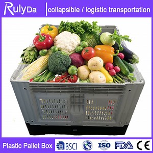 [Hot Item] Large Size Customized Plastic Bulk Containers Plastic Pallet Crates for Transportation