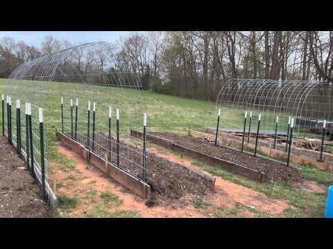 Cattle Panel Trellis