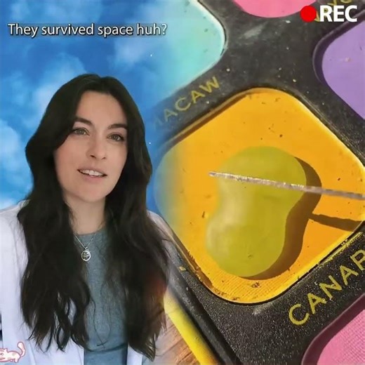 The Tardigrade has survived all 5 mass extinction events 😳 #angelsteve #skit #comedy #tardigrade