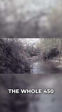 Drove the Entire Bigfoot Loop in Texas #bigfoot #texas #sighting