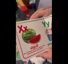 Chinese Word for Watermelon Starts With X