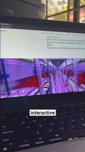 The Power of Simple Web Design 👀