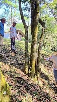 CHÁCARA ALANA COM CASA CHALÉS PISTA DE LAÇO ÁGUA BOA E ESPAÇO PARA ANIMAIS R$ 770 MIL-Código: 2580