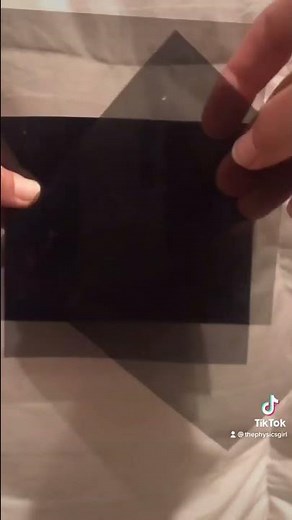 Polarization of Light ⚡ Class 12 (Physics)