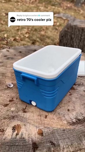 Igloo 25 qt Overland Ice Chest Cooler - America's Lunchbox