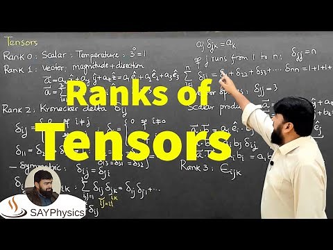 L5.2 Tensors in simple words | Rank of a tensor | Kronecker delta