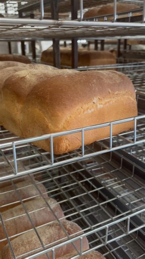 Fresh from the oven and left to cool just right. Rows of freshly baked loaves and everyday favourites, baked with care and cooled naturally to lock in flavour and texture. #HenllanBakery #FreshBreadDaily #MadeInWales #BakeryLife #BakedFresh | Henllan Bakery