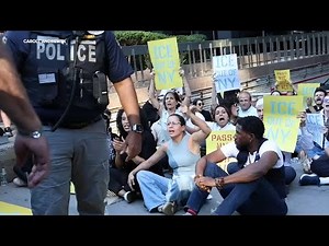 11 elected officials arrested at anti-ICE protests in NYC