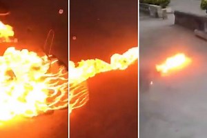 Video shows men set caged rat on fire and watch it become a running fireball