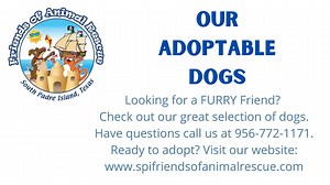 17 reactions · 18 shares | Thank DoG it's Friday. The following dogs are or will be ready for their FUR-ever homes by the beginning of next week. They are loving, playful, and friendly. Our adoption fee for dogs is $85 and that includes all vetting. Complete our online application at www.spifriendsofanimalrescue.com or call us at 956-772-1171. | Friends of Animal Rescue | Facebook