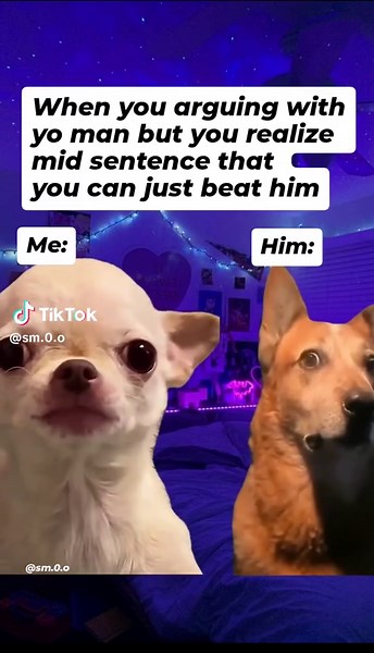 Evil Dog Memes That Make You Laugh