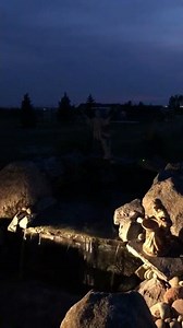 Firefly Magic® Solar LED Firefly Lights