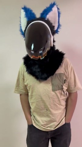 Protogen Head Custom - Fursuit Head Personalized - Furry Cospaly - Etsy