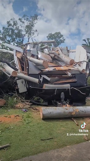 This is why you never park your caravan under gum trees. | Free Campers Australia