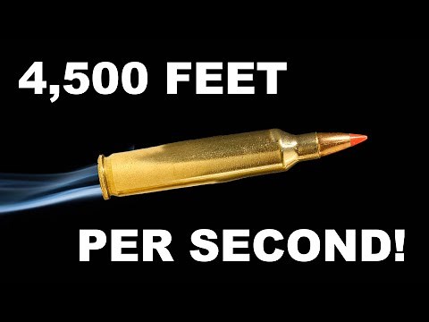 204 Ruger: Little Cartridge with BIG Punch!