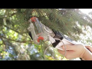Photosynthesis Analysis with the CID Bio-Science CI-340