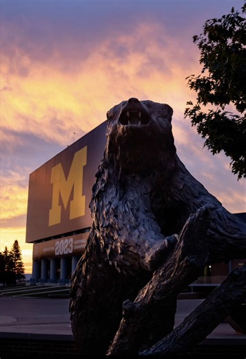 Discover the Allure of Michigan's Big House Stadium