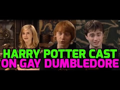 Harry Potter stars react to Dumbledore gay twist