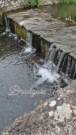 📍 Bradgate Park is a historic medieval deer park in Leicestershire, spanning 850 acres of rugged landscape, ancient oak trees, roaming deer, and famous landmarks like Old John Tower and the ruins of Bradgate House. | Days Out Now