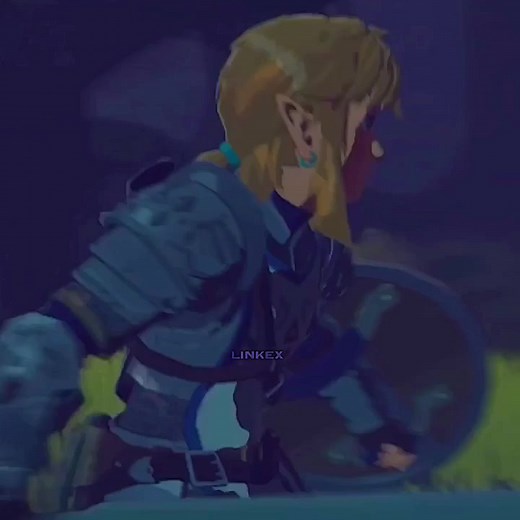 what’s ur favourite link outfit #link#darklink#linkedit#anime#animedit#vsp#fyp#legendofzelda#zelda#videogames#nintendo