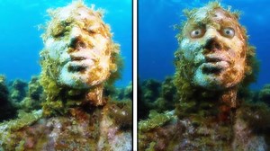 51K views · 1K reactions | 10 Times Mermaids Have Spotted A Camera | Most Amazing Top 10 | Facebook