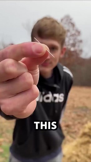 77K views · 506 reactions | Needle In A Hay Stack #reels #fyp #viral | Dylan Ayres | Facebook