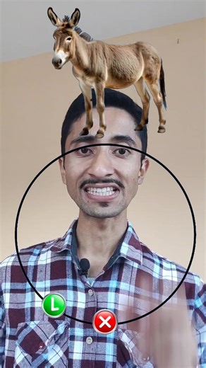 43K views · 386 reactions | Donkey  vs Zebra 煉 puzzle #puzzle #pausechallenge #donkey | Sunaulo Bihani | Facebook