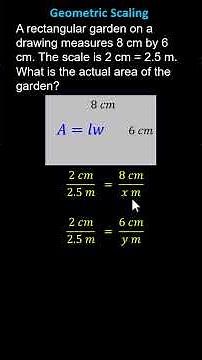 Geometric Scaling: Find the Area of a Scaled Rectangle (7GA1)