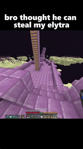 Bro thought he can steal my elytra... #usa #minecraft
