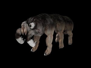 Alien Biospheres Stenopsid Speed Modeling