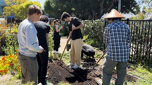Organic Learning Garden on SMC campus teaches practices for sustainability