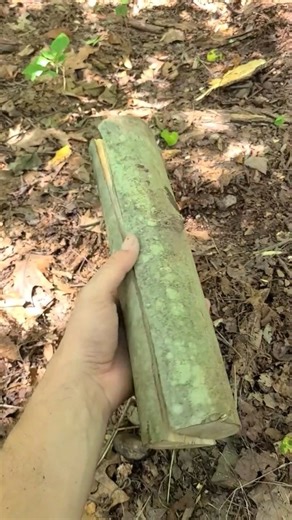 Mr.Deepraj on Instagram: "How Ancient People Made Fire | Dry Wood & Friction Pin Fire Making | Primitive Technology #AncientFire #FireMaking #SurvivalSkills #PrimitiveTechnology #StoneAge #TribalLife #OldTech #DryWood #HandDrill #BowDrill #FireWithoutMatches #PrimitiveSurvival #FireCraft #WoodFriction #SurvivalTechniques #AncientSkills #PrimitiveFireMaking #FireStarter #CampingSkills #NatureSkills #tribalsurvival"