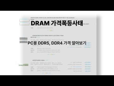 DRAM가격폭등사태-DDR5,DDR4가격알아보기(DRAM Price Surge: Find Out DDR5 and DDR4 Prices)