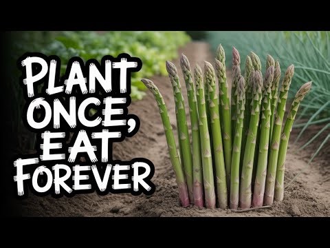 5 Perennial Veggies You’ll Harvest for Years