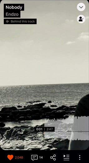 Soulful Organ House Remix with Vibrant Vocals