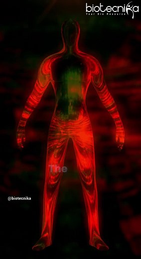 Catapult Your Career with Fusion of Biology & Computers 🚀 - Learn It, Use It & See the Magic Happen 🌟 https://stores.biotecnika.org/collections/bio-it-courses #bioinformatics #coding #career #biology | Biotecnika