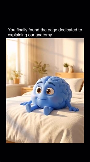 Explaining Our Anatomy | Men and women’s brains are wired a little differently because of hormones and biology. Testosterone influences how males process stress,... | Instagram