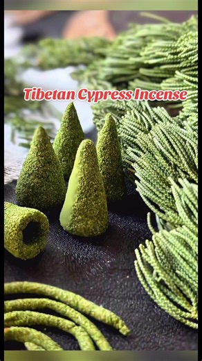 Good things have been happening one after another lately.🤩💰 High on the snowy mountains of Tibet, there grows a unique kind of cypress — Tibetan incense cypress. This high-altitude plant gives off a clean, fresh woody scent. For people living on the plateau, it has long been a quiet gift from nature, woven into everyday life. What makes Tibetan incense cypress special is the gentle change it brings to both space and mind: • Purifies the air – when burned, its natural aroma helps clear stale en