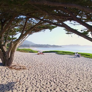 3K reactions · 215 shares | Transport yourself to world-renowned Carmel-by-the-Sea where whimsical cottages, culinary delights, walkable wine tasting, and stunning beauty are unforgettable. Book now and save with low winter rates at Carmel hotels and inns! | Carmel by the Sea | Facebook