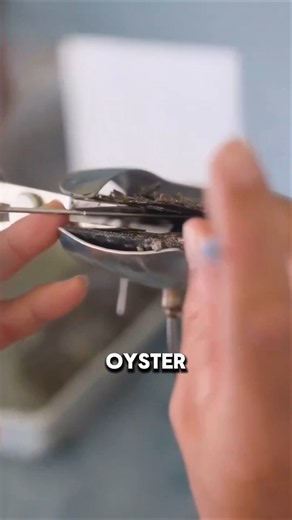 How Oysters Are Made to Grow Giant Pearls 🤯🦪 #shorts