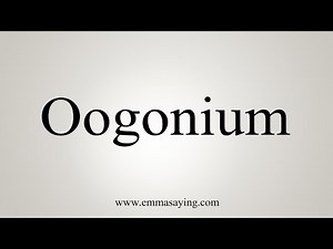 How To Say Oogonium