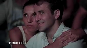 3K reactions · 322 shares | Seven unique continents, each one full of...