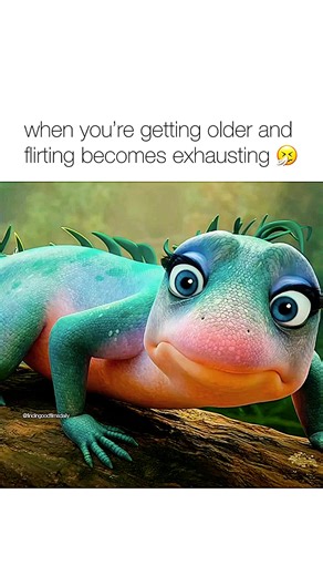 Films | Movies | TV Series 🎭 on Instagram: "Info 👇 follow (us) 👉 @findingoodfilmsdaily for daily movie recommendations and cinema news!! 🎭 Movie: Leo (2023) 🍿 (comedy / musical) 1h 42mins description: Leo is a 2023 animated musical comedy filmdirected by Robert Marianetti, Robert Smigeland David Wachtenheim (in Marianetti and Wachtenheim’s feature directorial debuts), written by Smigel, Adam Sandler, and Paul Sado, and produced by Sandler and Mireille Soria. The second animated feature from