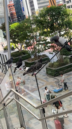 I am sure this video will make you laugh | Beautiful World