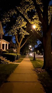 Chicago Suburban Night Ambience | Sleep & Relax (No Music)