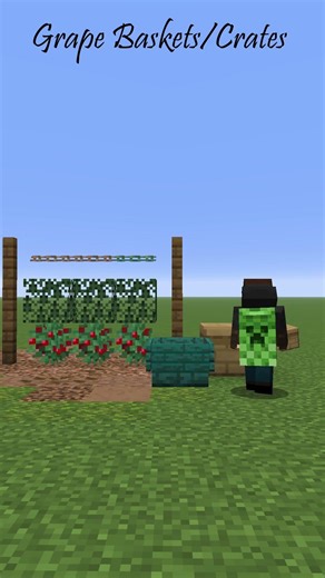 Minecraft Vineyard Ideas