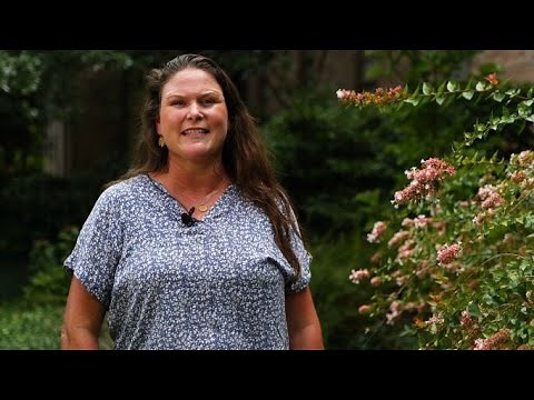 Get It Growing: Abelias produce beautiful blooms, attract pollinators