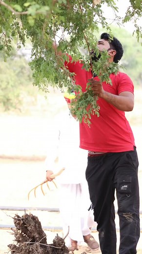 38K views · 987 reactions | गट्ठर सफाई 浪, marvadi comedy, rajasthani comedy, Haryanvi comedy, comedy video, comedy comedy, #fbreels #reelsfbpage #reelsinstagram #rajsthani #loveislove #fb #marvadicomedy #instatravel #instatravel #rajsthanicomedy #haryanvi | Aldat Comed | Facebook