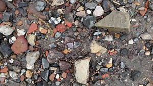 SPOT THE FIND… Can you spot the Charles I rose farthing I found yesterday before I do? These small copper farthings were privately minted, a practice first introduced by Charles I’s father, James I. The Rose type was authorised on 1 March 1636 and produced until around the end of 1644. They were easy to counterfeit, so later Rose farthings had a brass wedge inserted into them to make them harder to counterfeit. #mudlarking #mudlark #Larking | London Mudlark: Lara Maiklem Mudlarking